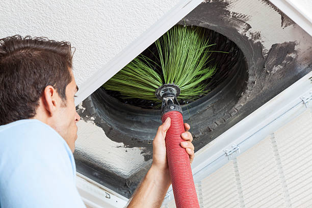 Best Air Vent Cleaning Services  in Mledgevle, IL